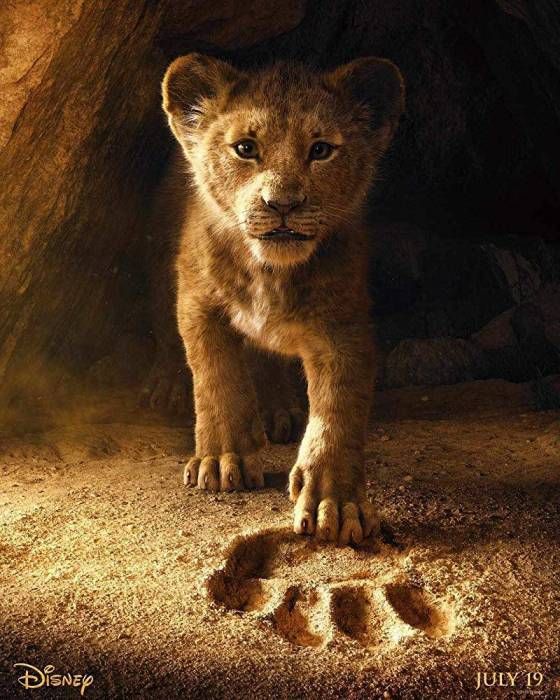 Nowy zwiastun do filmu "Król Lew"!