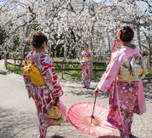 Hanami 2019