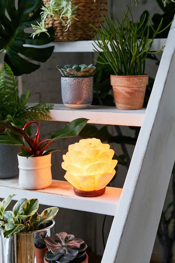 Lampy solne