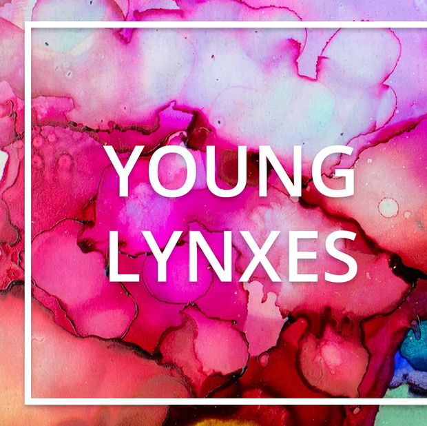 konkurs-young-lynxes-i-nagroda-carte-blanche-e4b2cf6