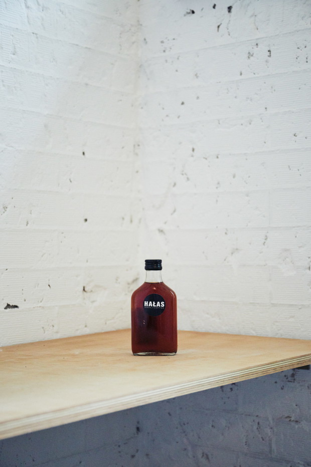 Cold brew w Hałasie