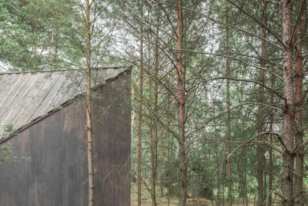 bookworm-cabin-w-adelinie-9c23074