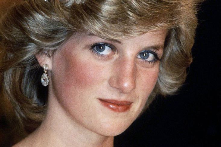 Księżna Diana, 1983 rok