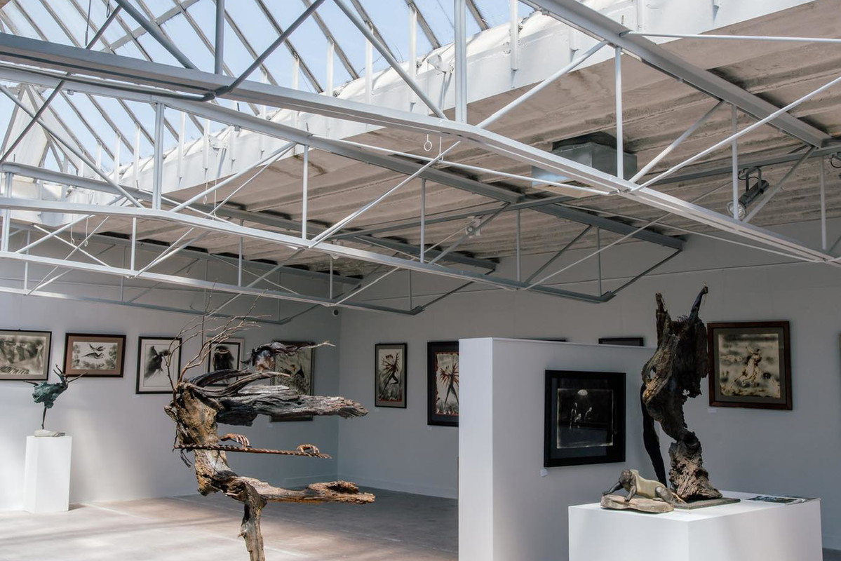 Galeria van Rij