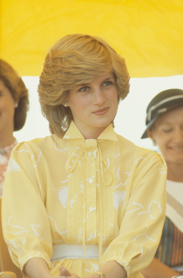 Księżna Diana, 1983 rok