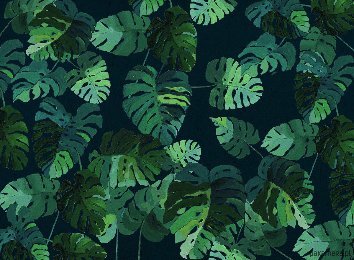 MONSTERA DELICIOSA, Katarzyna Typek Art, ilustracja inspirowana tropikami, Pakamera, 39 zł