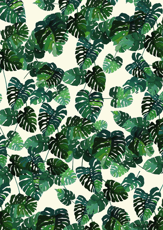 MONSTERA DELICIOSA, Katarzyna Typek Art, 39 zł, pakamera
