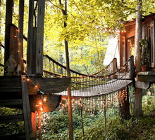 Domek na drzewie, hit Airbnb