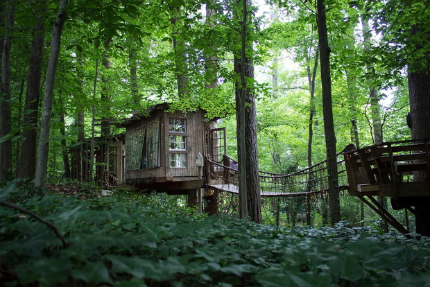 Domek na drzewie pod Atlantą, najpopularniejszy na Airbnb