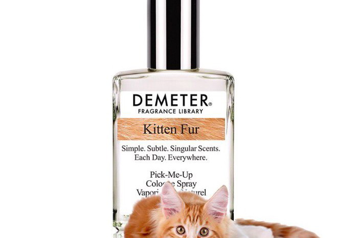 Stworzono perfumy o zapachu kociego futra, fot. mat. prasowe