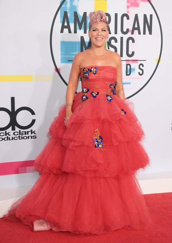 American Music Awards 2017: Pink