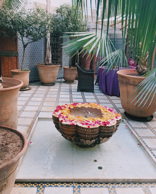 Processed with VSCO with c6 preset
