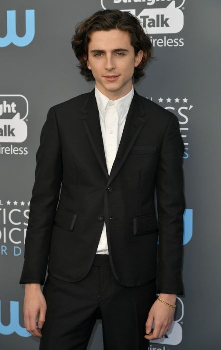 Oscary 2018: Timothée Chalamet otrzymał nominację w kategorii najlepszy aktor