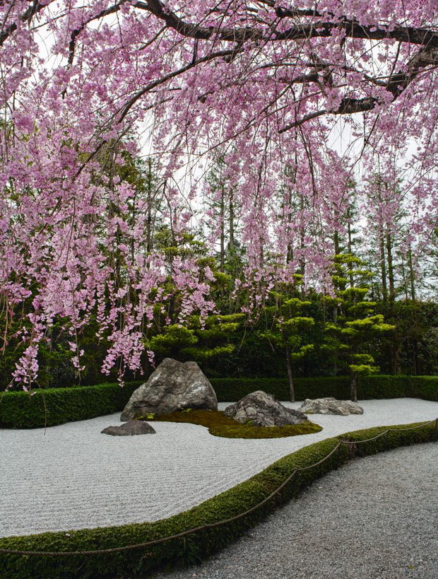 taizo-in-myoshin-ji-complex-rinzai-zen-buddhism-kyoto-1404-muromachi-period-with-later-additions-showa-period-kano-motonobu-attributed-and-pond-garden-by-kinsaku-nakane-faf3653