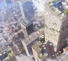 Drewniany wiezowiec w Tokio, W350, projekt Sumitomo Forestry