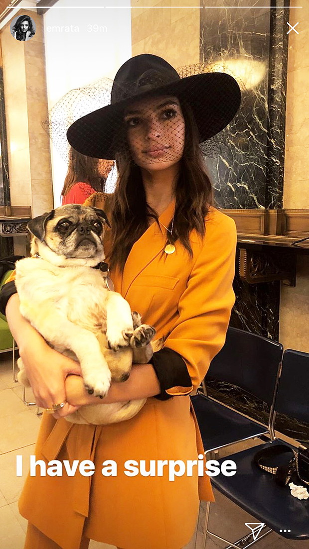 Emily Ratajkowski i Sebastian Bear-McClard wzięli ślub
