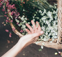 Zioła przypisane znakom zodiaku. Jaka roślina najlepiej wpłynie na twoje zdrowie?