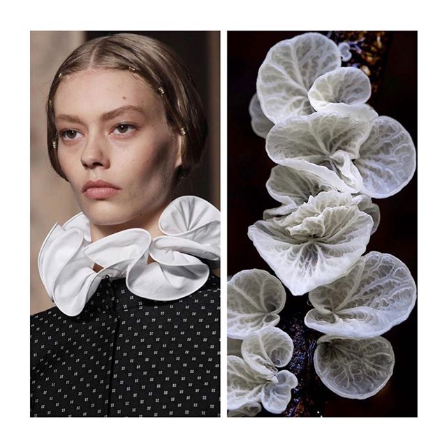 Moda i natura: Instagram Fashion Biologique