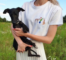 T-shirty z polską metką