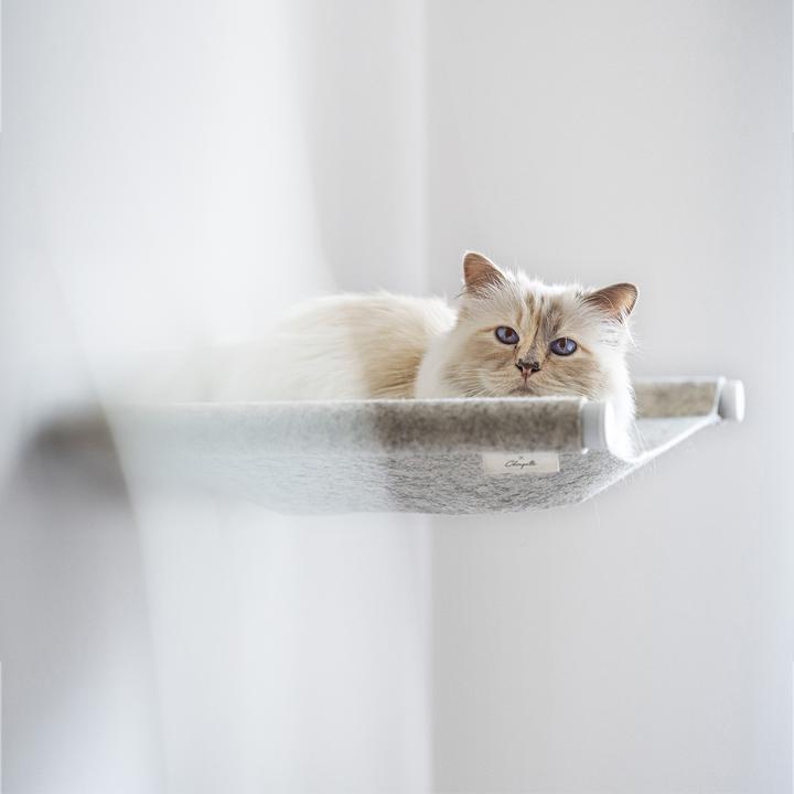 LucyBalu x Choupette