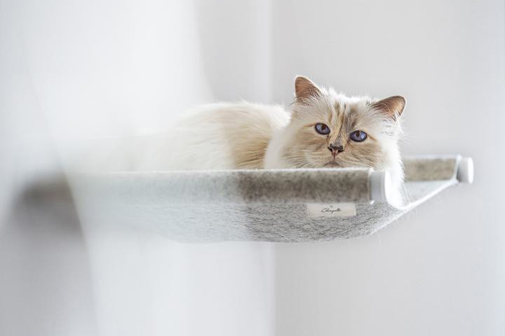 LucyBalu x Choupette