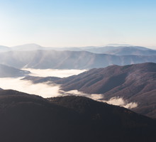 Tarnica