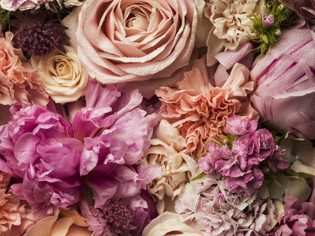 Full frame floral arrangement with dew