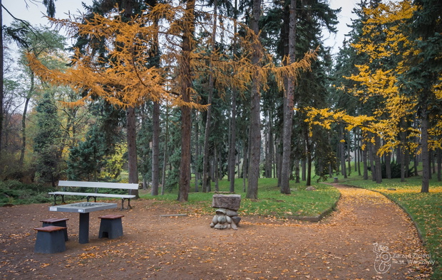 stoliki-do-gry-w-szachy-w-parku-skaryszewskim5-1aa8972