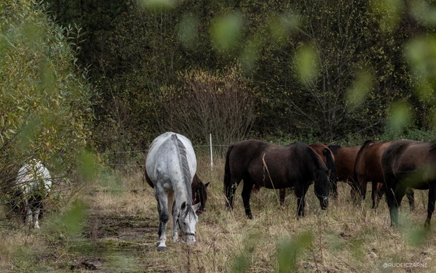 Małopolska i Bieszczady widziane oczami influencerów. Oto najpiękniejsze miejsca, które warto wpisać na swoją przyszłoroczną listę must see