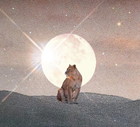 Horoskop tygodniowy 2022 na 15-21 sierpnia. Sezon Lwa dobiega końca, przynosząc poważne wyzwania w relacjach