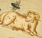 Horoskop tygodniowy 2021 na 15-21 marca. Wchodzimy do sezonu Barana i rozpoczynamy nowy cykl astrologiczny