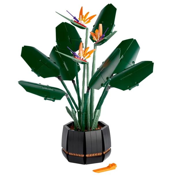 lego-bird-of-paradise3-0d5a777