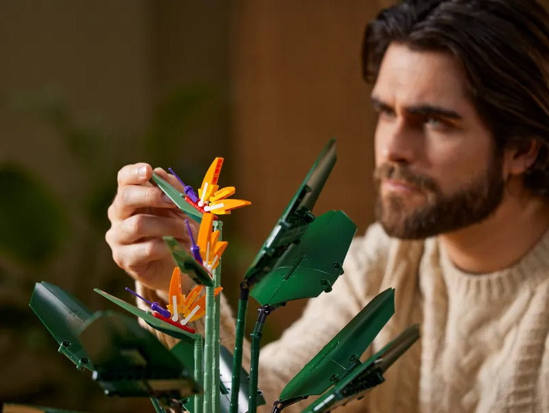 LEGO, Bird of Paradise