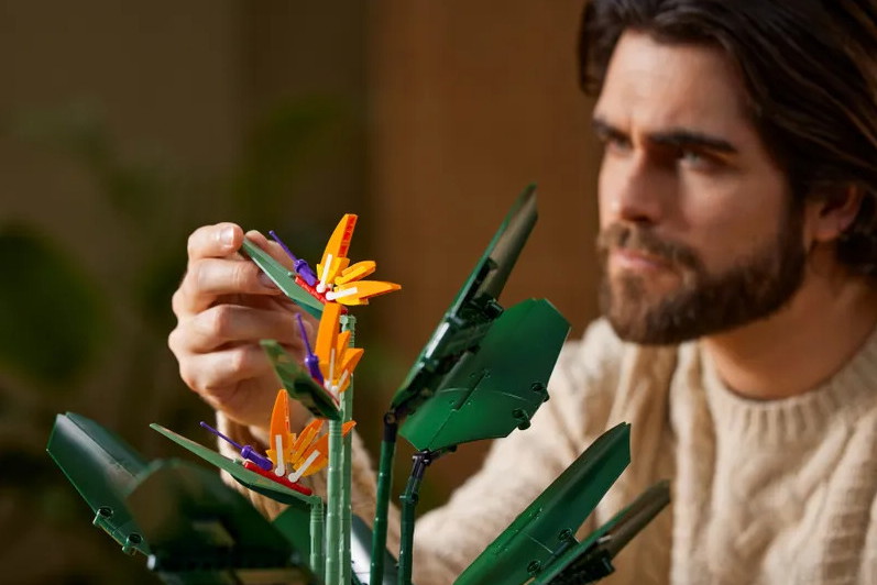 LEGO, Bird of Paradise