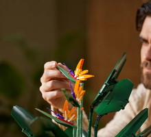 LEGO, Bird of Paradise