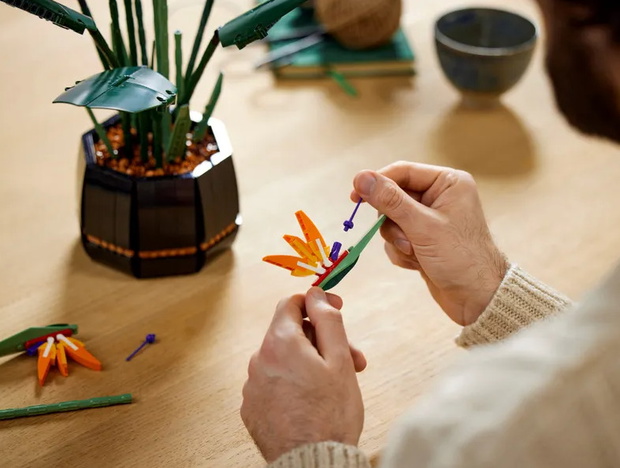 lego-bird-of-paradise1-ba8a6af