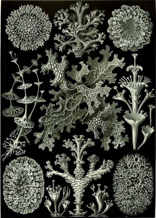 527d0df349e632282cadb8fd4b4006183f287de3-9ef75d4