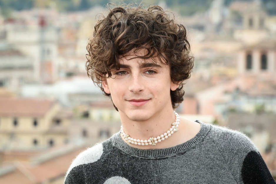 Timothée Chalamet „nie brał udziału w przesłuchaniach od ponad 7 lat”