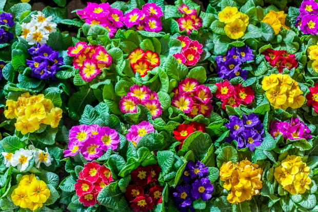 6f955771cd3bad35e7bb94f042f9bdb1ecc78d13-6b32783