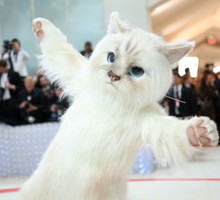 Jared Leto: Met Gala 2023