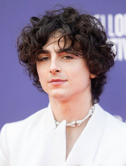 Timothee Chalamet
