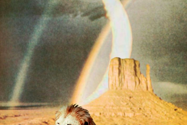 Nów księżyca w Lwie wstrząśnie życiem 4 znaków zodiaku