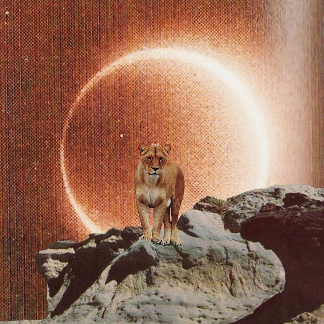 Horoskop tygodniowy 2022 na 14-20 lutego. Przed nami pełnia w Lwie i koniunkcja Wenus Mars