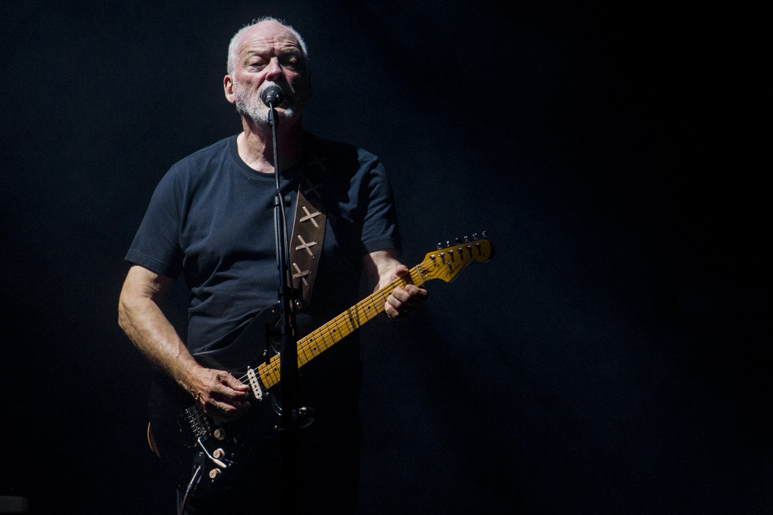 David Gilmour