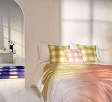 India Mahdavi X H&M HOME