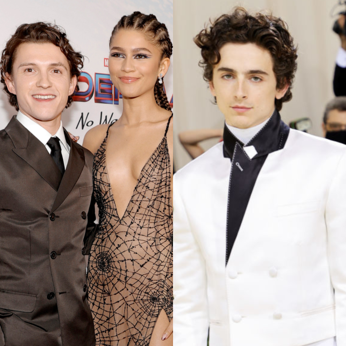Timothée Chalamet  o Zendayi i Tomie Hollandzie