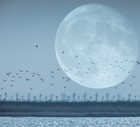 Horoskop tygodniowy 2023 na 18-24 grudnia. Przesilenie zimowe i sezon Koziorożca - jakie będą Święta?