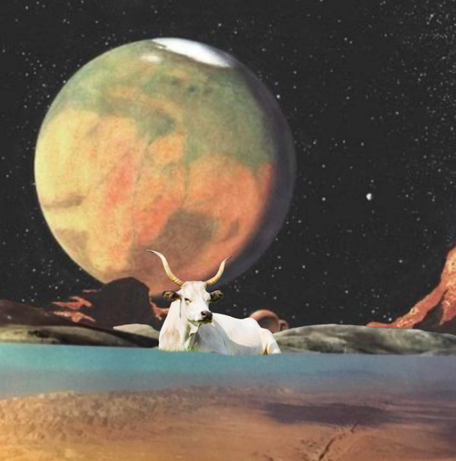 Mars wkracza do Byka: zdejmij nogę z gazu. To nie czas na podejmowanie ryzyka