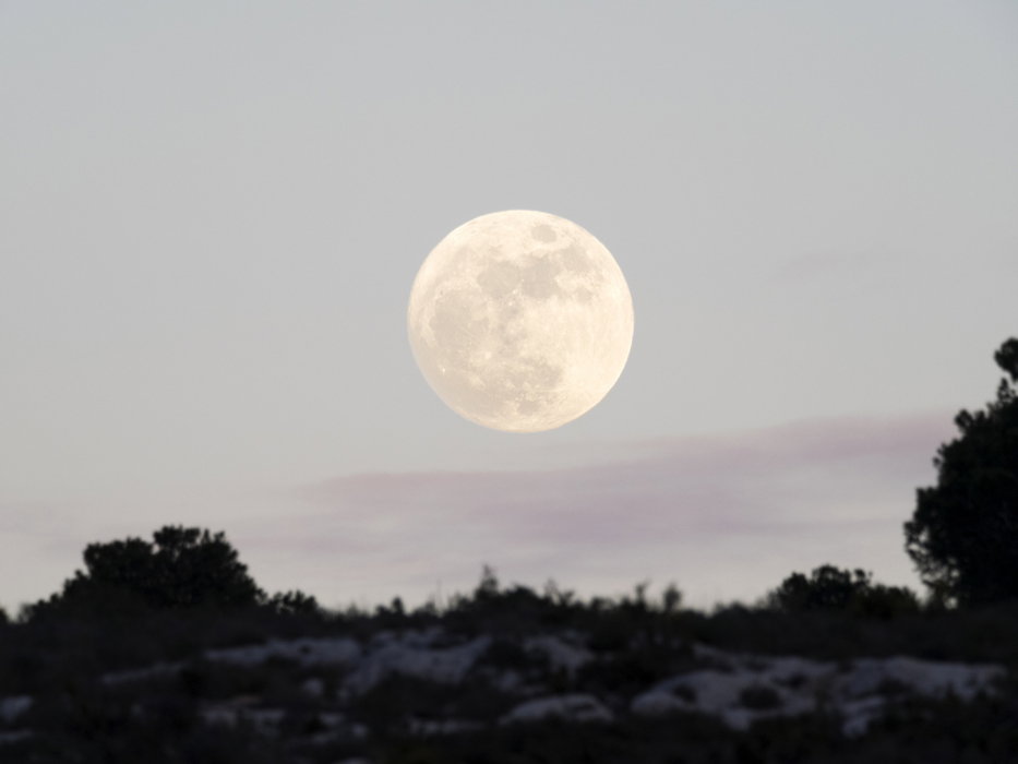 Horoskop tygodniowy 2024 na 15-21 lipca. Jak pełnia księżyca w Koziorożcu wpłynie na każdy znak zodiaku?