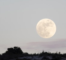 Horoskop tygodniowy 2024 na 15-21 lipca. Jak pełnia księżyca w Koziorożcu wpłynie na każdy znak zodiaku?